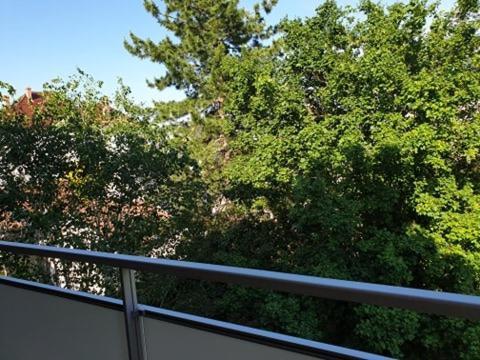 Appartement Foch A Colmar Dış mekan fotoğraf